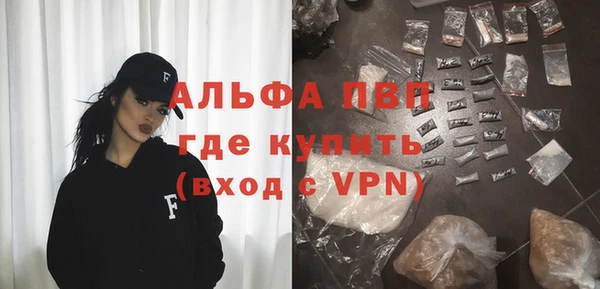 ГАЛЛЮЦИНОГЕННЫЕ ГРИБЫ Богданович