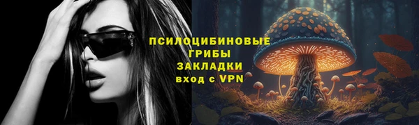 Альфа ПВП Богородск