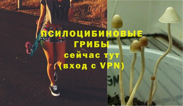 ГАЛЛЮЦИНОГЕННЫЕ ГРИБЫ Богданович