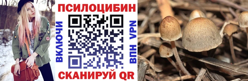 хочу   Реж  Галлюциногенные грибы ЛСД 